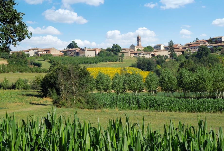 Sanico - Monferrato - Piedmont
